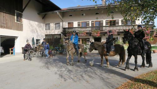 Am Valtlhof - Photo 4