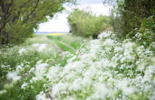 The Cowshed Port Lympne - Foto 37