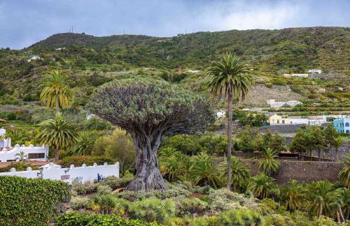 Casa Justina - Foto 15