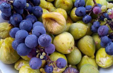 Apartman Milutin - Foto 27