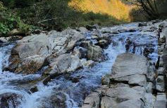 Domki Pod Lasem - Photo 41