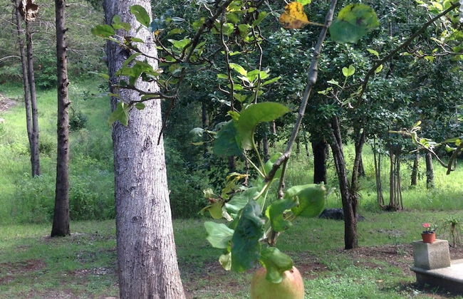 Apartment In San Cristobal De Las Casas, Wifi - Foto 11