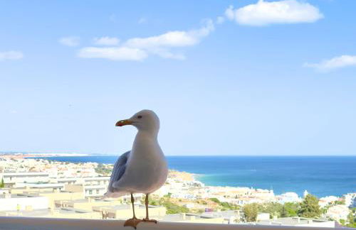 Apartment Les 3 Dauphins in Albufeira - Foto 4