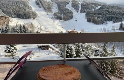 Avec balcon, au pied des pistes et randos - Foto 15