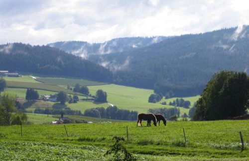 4 Michael Weiß Comfortable holiday residence - Foto 16