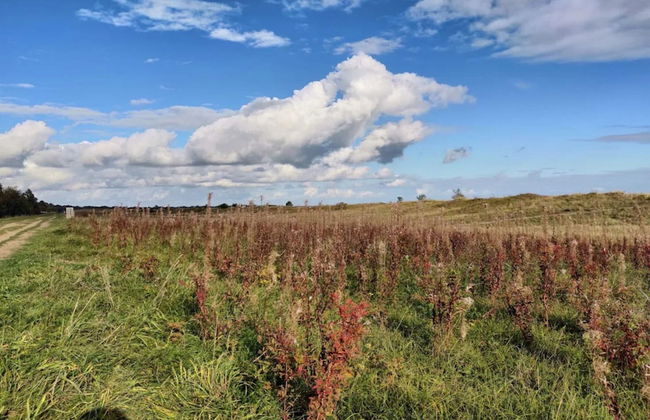 6 Person Holiday Home in Vaeggerlose - Foto 18