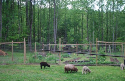 DO NOT Book property sold requested removal multiple times without luck Shenandoah NP Old Rag and White Oak Canyon - Foto 26