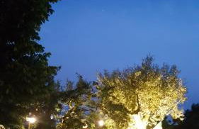 Masseria Cesarina B&B - Foto 10