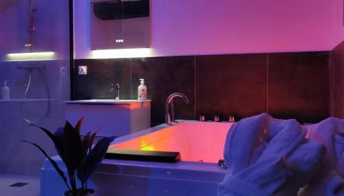 Les Sansonnets Appart & Spa - Foto 4