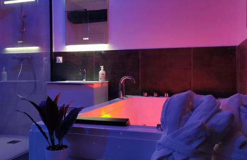 Les Sansonnets Appart & Spa - Foto 4