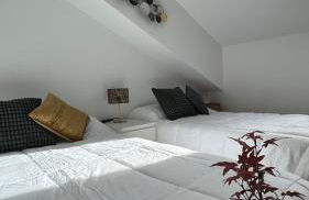 Apartamentos Suites Olmedo - Foto 36