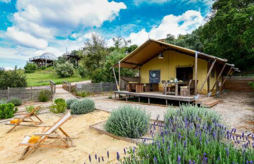 wecamp Reserva Alecrim - Foto 118