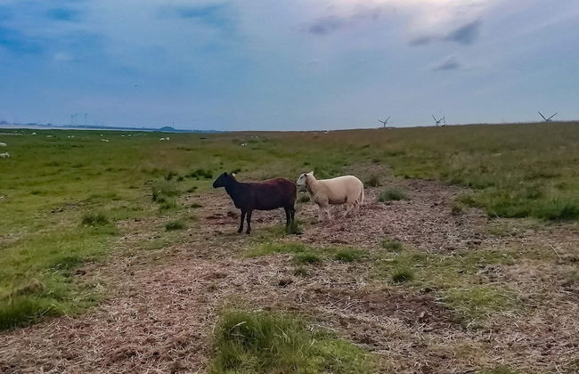 4 Person Holiday Home in Bramming-by Traum - Foto 6