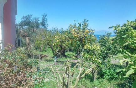 Maria's Paradise - Foto 46