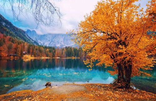 Alessandra - Foto 20