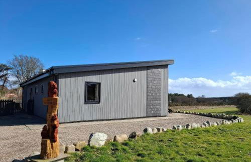 Red Squirrel - Photo 3