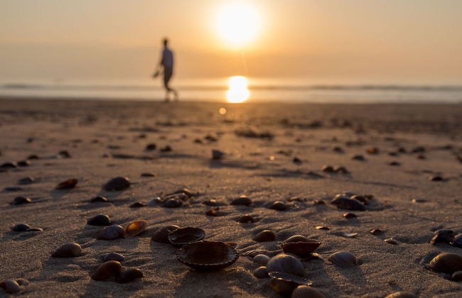 Holiday Home in Domburg Near Beach - Foto 30