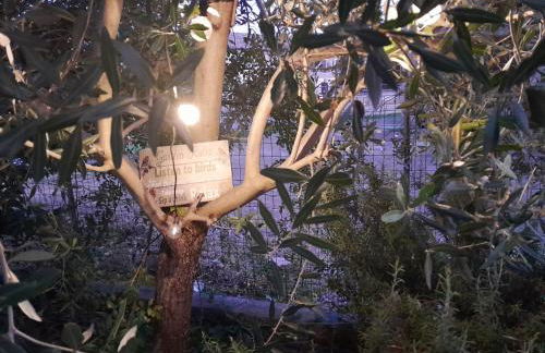 Casita Esperanza - Foto 66