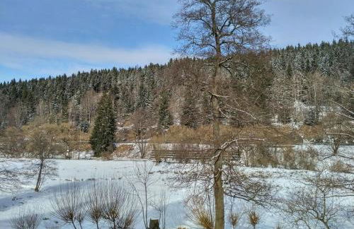 Ferienwohnung Rathke - Foto 20