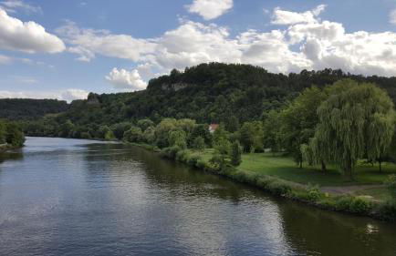 Direkt am Main - Foto 17