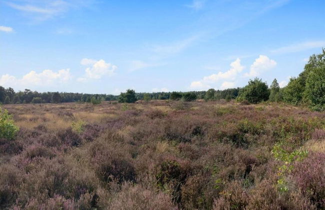 Bungalow in Veluwe Near Harderwijk - Photo 28