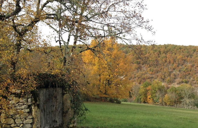 Le Domaine des Ramonets - Foto 27