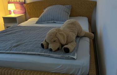 Neue Erdgeschosswohnung in Zentrum von Rockenhausen - Foto 7