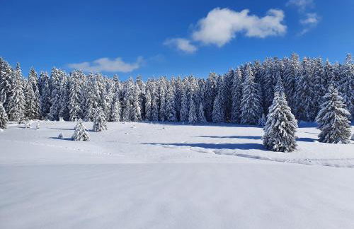 Ferienhaus Sonnengelb im Herzen des Schwarzwaldes - Foto 26