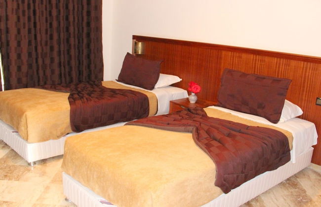 Diamant Vert - Photo 10