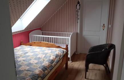 Gartentraum - Foto 8