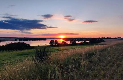 Ostoja Leśna Cisza - Foto 9