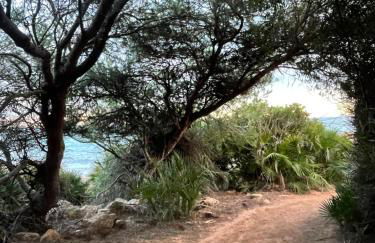 Apartamento en el Edificio Barlovento, situado en el centro de Alcossebre, a 150m del mar - Photo 30