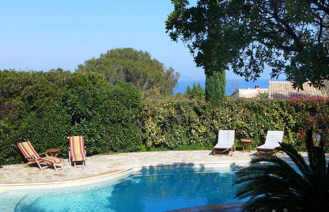 La Maison du Midi - Foto 1