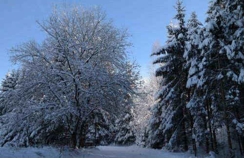 Ferienwohnungen Haus Zeier - Foto 45
