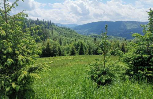 Holiday Home in den Bergen- Villa mit Panoramaterrasse by Interhome - Foto 35