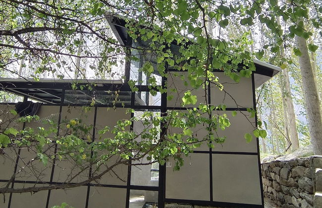 Zihin With Forest View - Cloud Nine And a Half - Photo 8