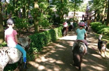Große Ferienwohnung, auf Bauernhof mit Ponys und Pferden, ländlich und ruhig, Nähe Dümmer See - Photo 24