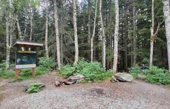 Sauk River Cabins - Hot tub - Firepit - Foto 26