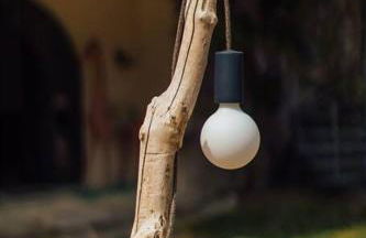 Clos du Bois Saint-Martin - Foto 8