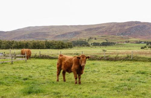 Creag-na-Sanais - Foto 37