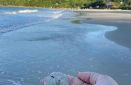 Recanto do Mica - Photo 53