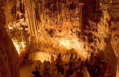 Villa Mare & Monti Istra - Foto 39