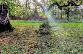 Luxury Shepherds Hut on Powis House Estate - Foto 20