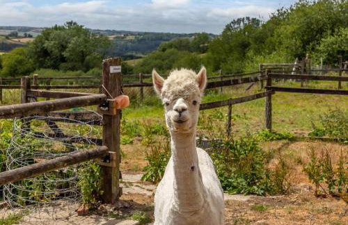 3 Bed in Umberleigh oc-78305 - Photo 2