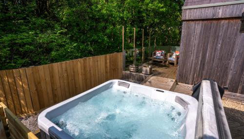 Mint Lodge 1BR with Hot Tub near Black Mountain - Foto 2