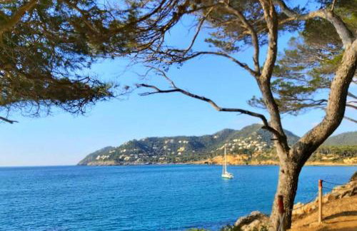 Aptment 4A Sa Calobra with pool & terrace Canyamel - Foto 25