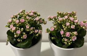 Casa Valentina 2 - Foto 20