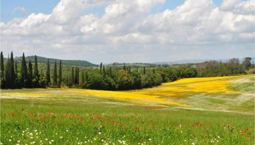 La Ferrupaia - Foto 2