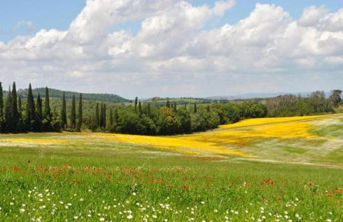 La Ferrupaia - Foto 2