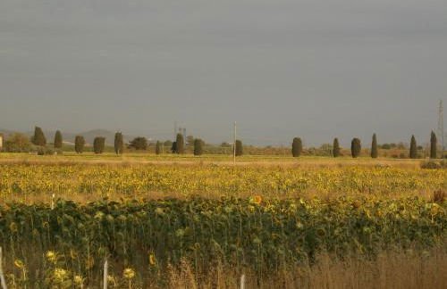 Villetta di Campagna - Foto 20